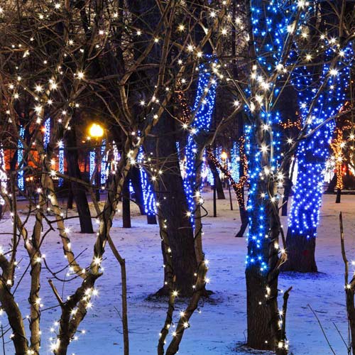 Украшение деревьев и кустарников