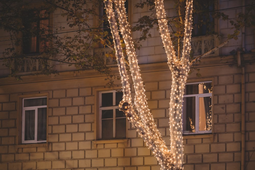 Гирлянда на дереве